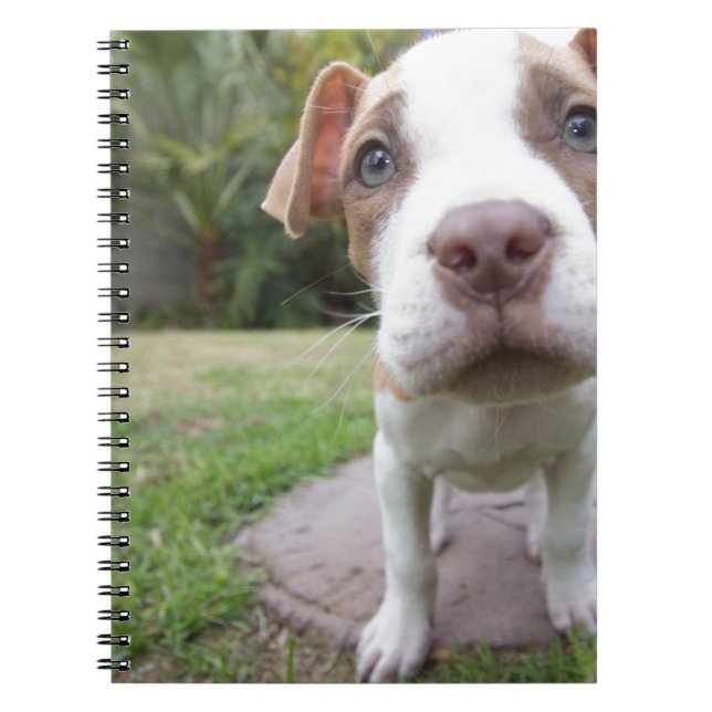 Cuaderno Curioso cachorro (Frente)