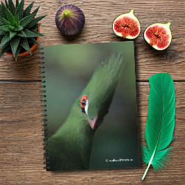 Cuaderno Curioso curioso Guinea Turaco Ave Verde