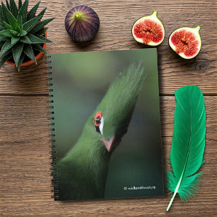 Cuaderno Curioso curioso Guinea Turaco Ave Verde