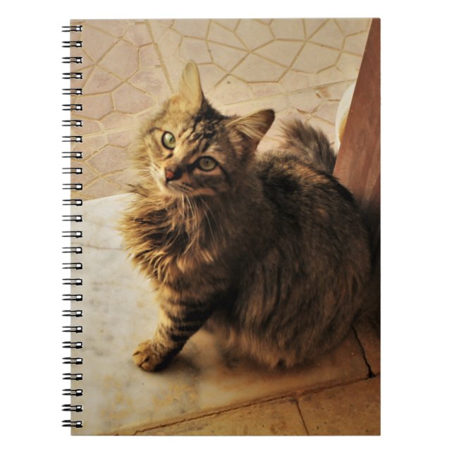 Cuaderno Curioso portátil Kitty (Frente)