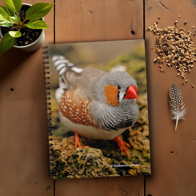 Cuaderno Curioso Zebra Finch en las Rocas (Curious Zebra Finch on the Rocks Journal Cover Photo)