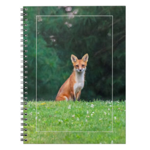 Cuaderno Curte Fox