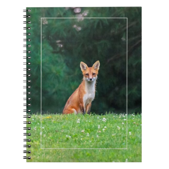 Cuaderno Curte Fox (Frente)