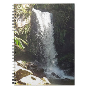 Cuaderno Curtis Falls