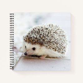 Cuaderno Cute Baby Hedgehog Notebook