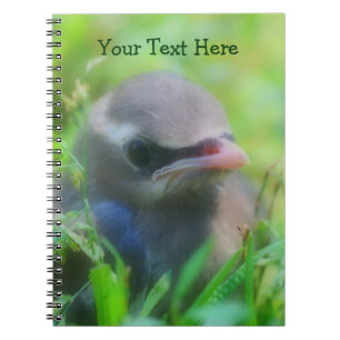 Cuaderno Cute Bebé Waxwing Bird Bird Animal Notebook