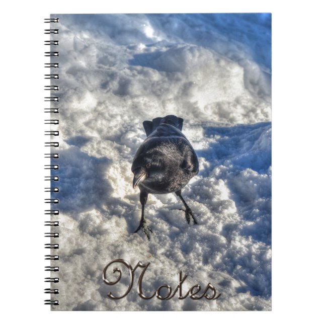 Cuaderno Cute Black Raven en la foto de la nieve (Frente)