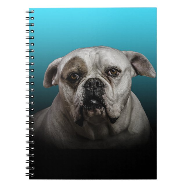 Cuaderno Cute Boxer Dog con fondo de degradado negro azul (Frente)