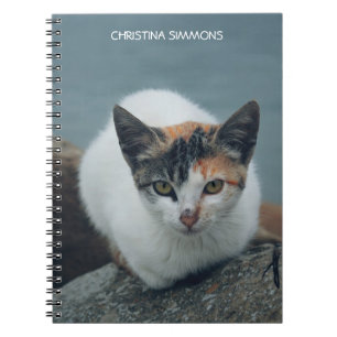 Cuaderno Cute Calico Cat Personalized Notebook