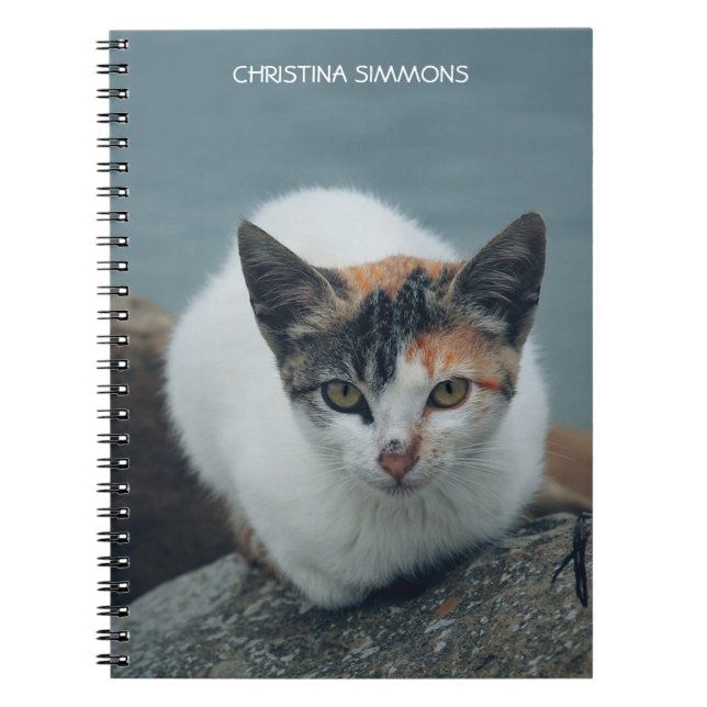 Cuaderno Cute Calico Cat Personalized Notebook (Frente)