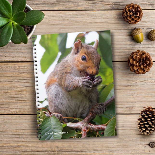 Cuaderno Cute Cherry Picando la ardilla gris oriental (Cherry Picking Eastern Grey Squirrel Journal Cover Photo)