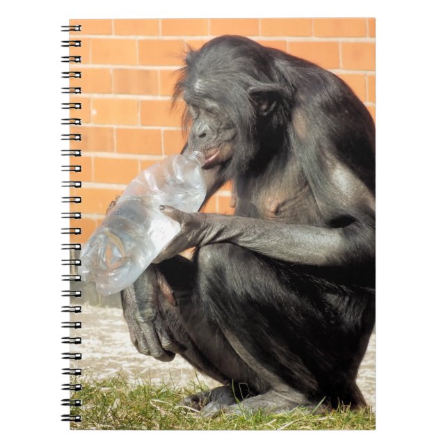 CUADERNO CUTE CHIMPANZEE (Frente)