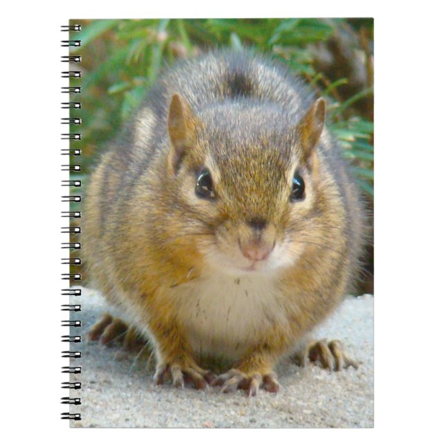 Cuaderno Cute Chipmunk Tiene La Vista En Ti (Frente)