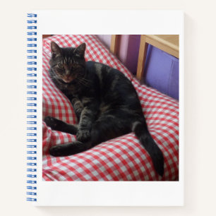 Cuaderno Cute Dave