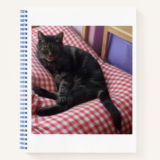 Cuaderno Cute Dave (Anverso)