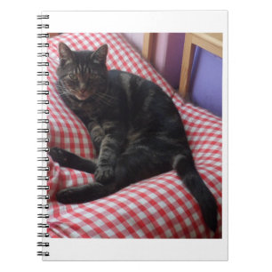 Cuaderno Cute Dave Spiral Notebook