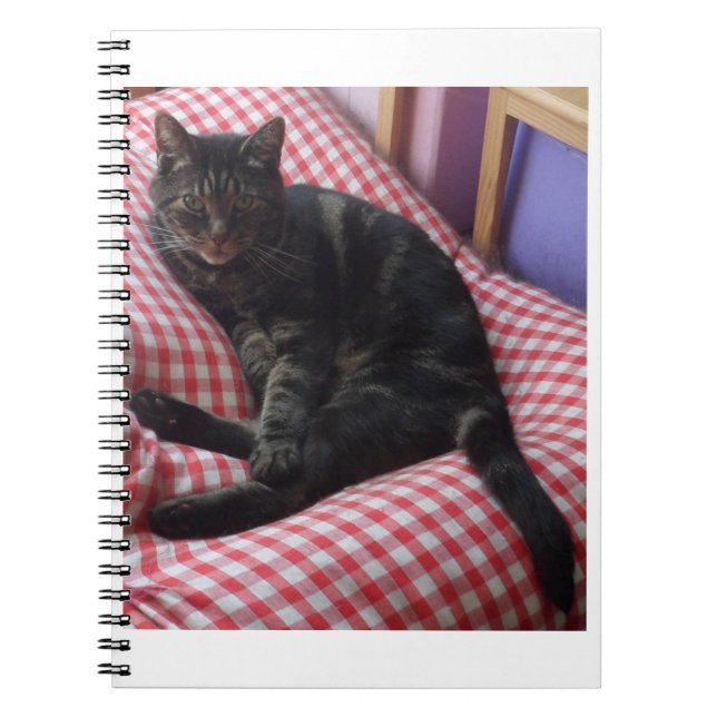 Cuaderno Cute Dave Spiral Notebook (Frente)