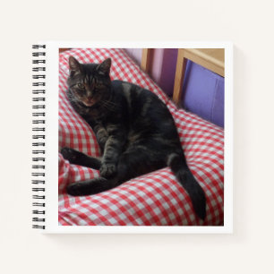 Cuaderno Cute Dave Spiral Notebook