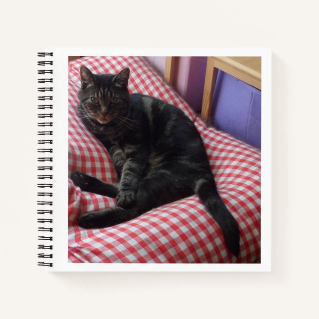 Cuaderno Cute Dave Spiral Notebook (Anverso)