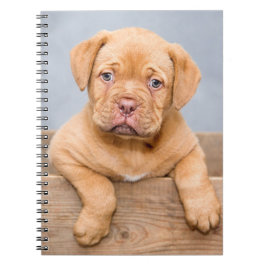 Cuaderno Cute Dogue De Bordeaux Perro Cachorro