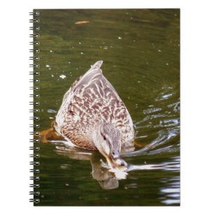 Cuaderno Cute Duck Feeding