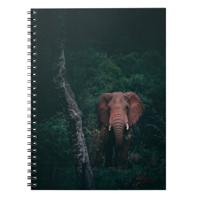 CUADERNO CUTE ELEPHANT (Frente)