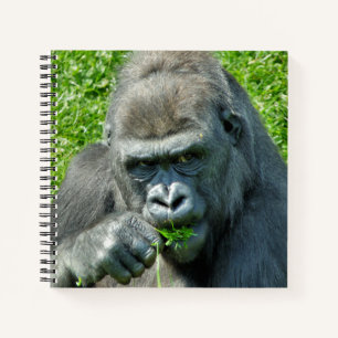CUADERNO CUTE GORILLA