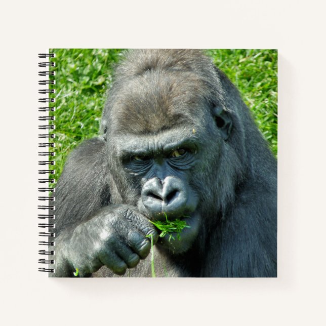 CUADERNO CUTE GORILLA (Anverso)