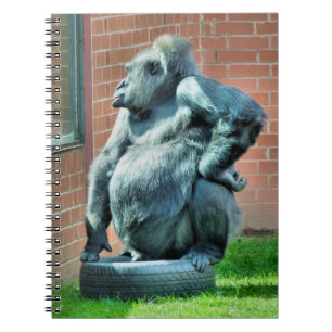 CUADERNO CUTE GORILLA
