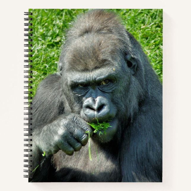 CUADERNO CUTE GORILLA (Anverso)