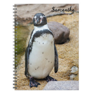 Cuaderno Cute Humboldt Penguin Spiral portátil
