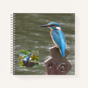 Cuaderno Cute Kingfishers (observadores de aves)