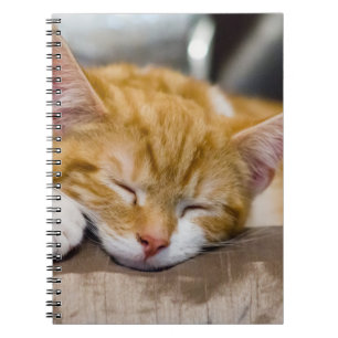 Cuaderno Cute Kitten
