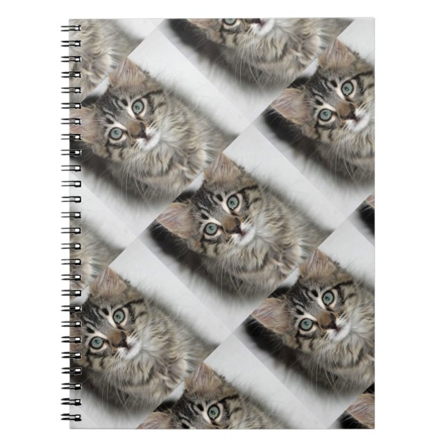 Cuaderno Cute Kitten Notebook (Frente)