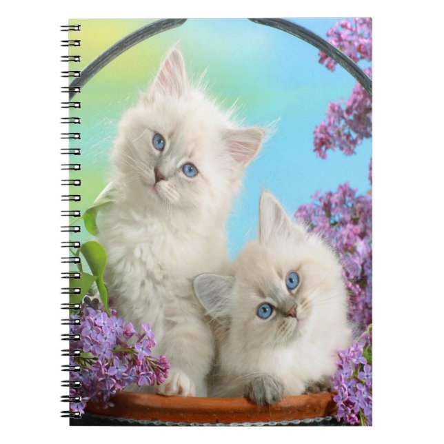 Cuaderno Cute Kittens (Frente)