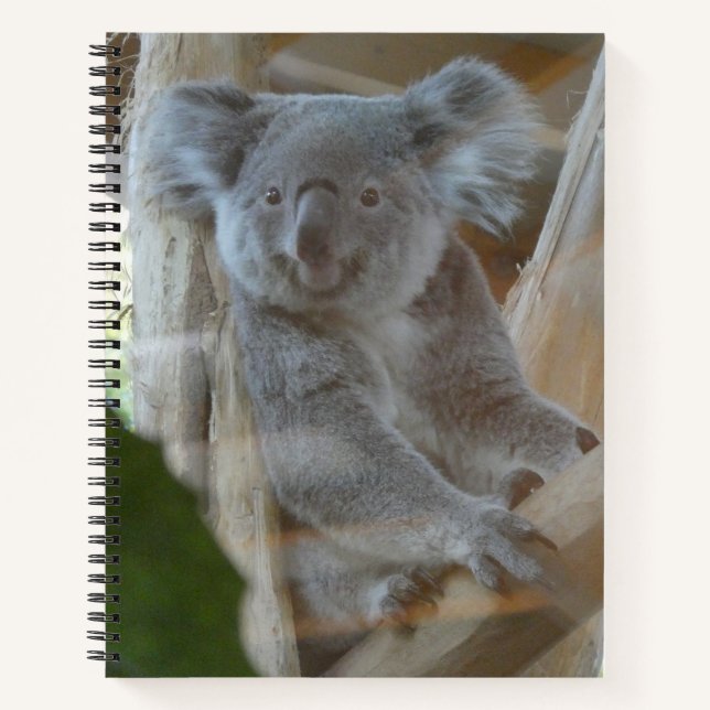 Cuaderno Cute Koala Notebook (Anverso)