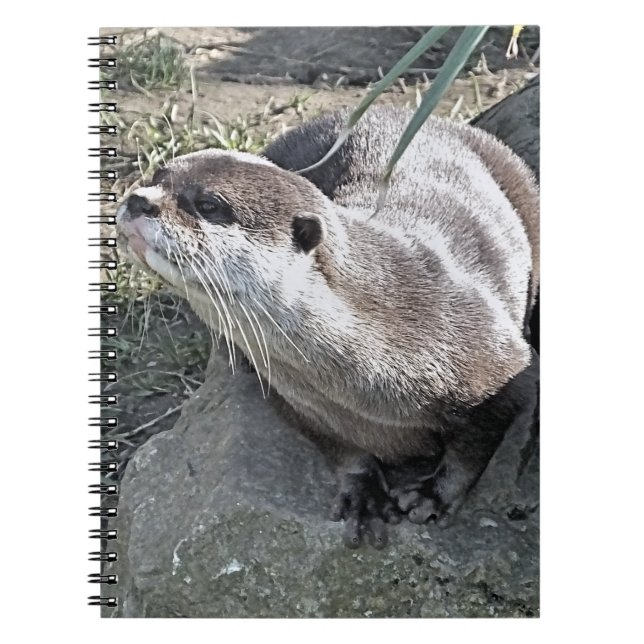 CUADERNO CUTE OTTER (Frente)