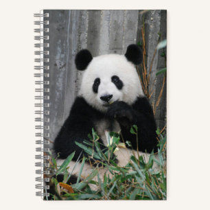 Cuaderno Cute panda