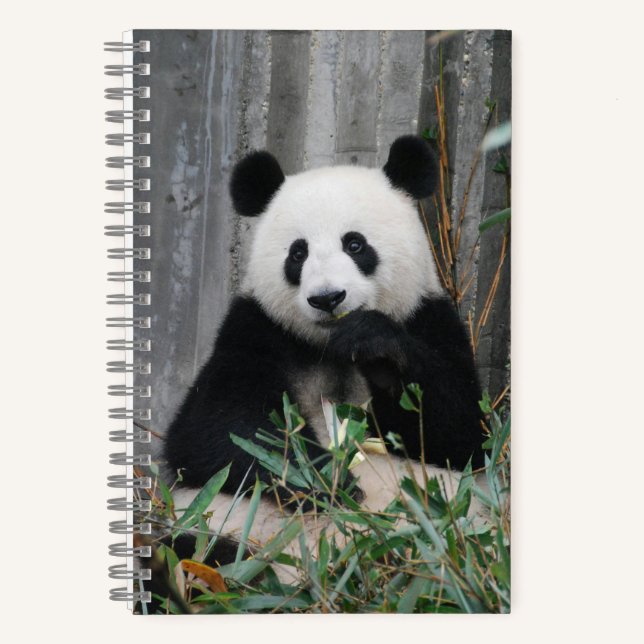Cuaderno Cute panda (Anverso)