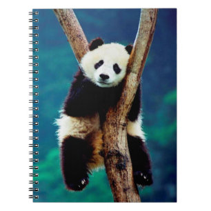 Cuaderno Cute Panda Bear