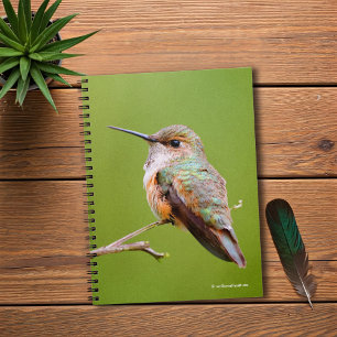 Cuaderno Cute Rufous Hummingbird en California Lilac