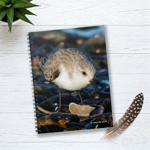 Cuaderno Cute sanderling de las minas en la playa