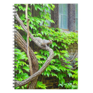 Cuaderno Cute Squirrel Notebook