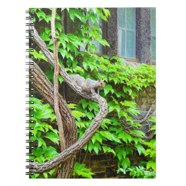 Cuaderno Cute Squirrel Notebook (Frente)