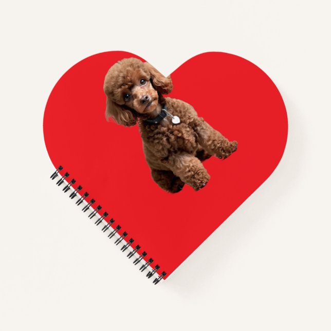 Cuaderno Cute Teacup Poodle Carpeta Roja (Anverso)