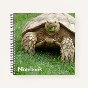 Cuaderno Cute Tortoise Lettuce Munch