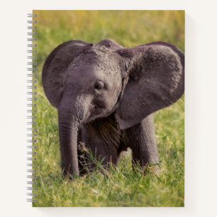 Cuaderno Cutest Baby Animals   Baby Elephant Kenya Africa