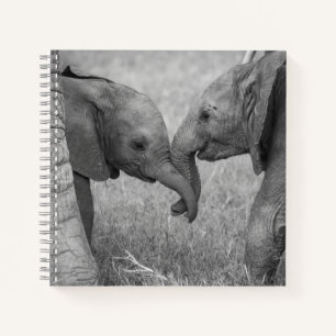 Cuaderno Cutest Baby Animals   Baby Elephants Greeting