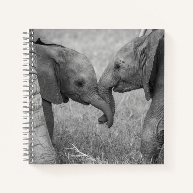 Cuaderno Cutest Baby Animals | Baby Elephants Greeting (Anverso)