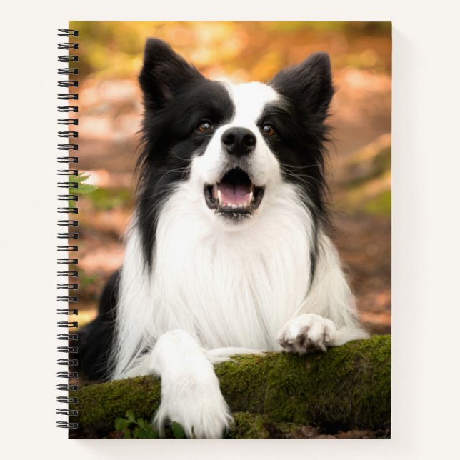 Cuaderno Cutest Baby Animals | Black & White Border Collie (Anverso)